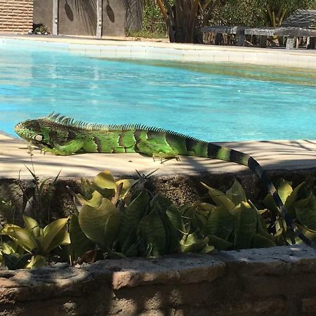 Casa Caicara Villas De Praia Cruz  Eksteriør bilde