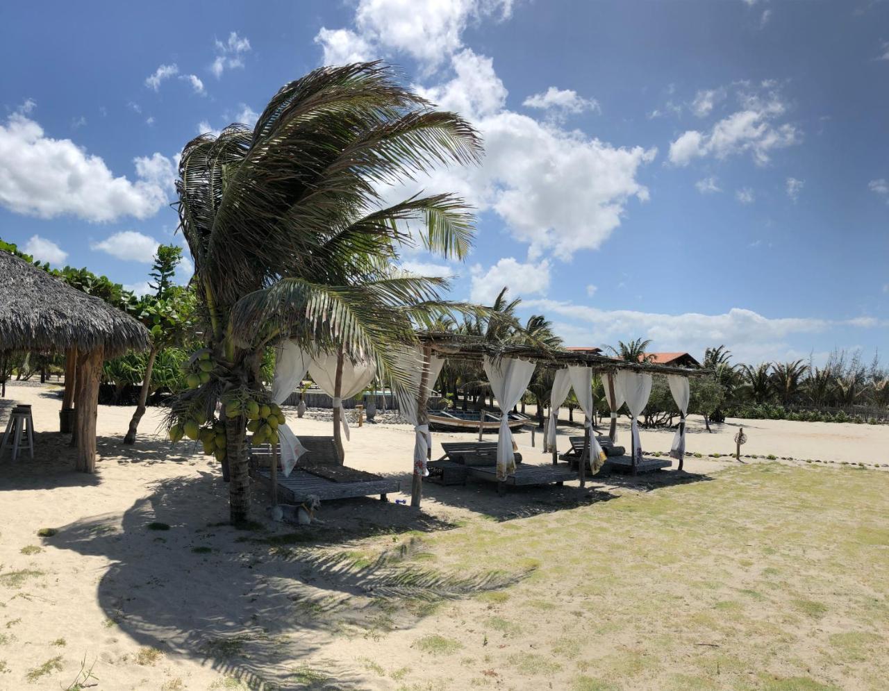 Casa Caicara Villas De Praia Cruz  Eksteriør bilde