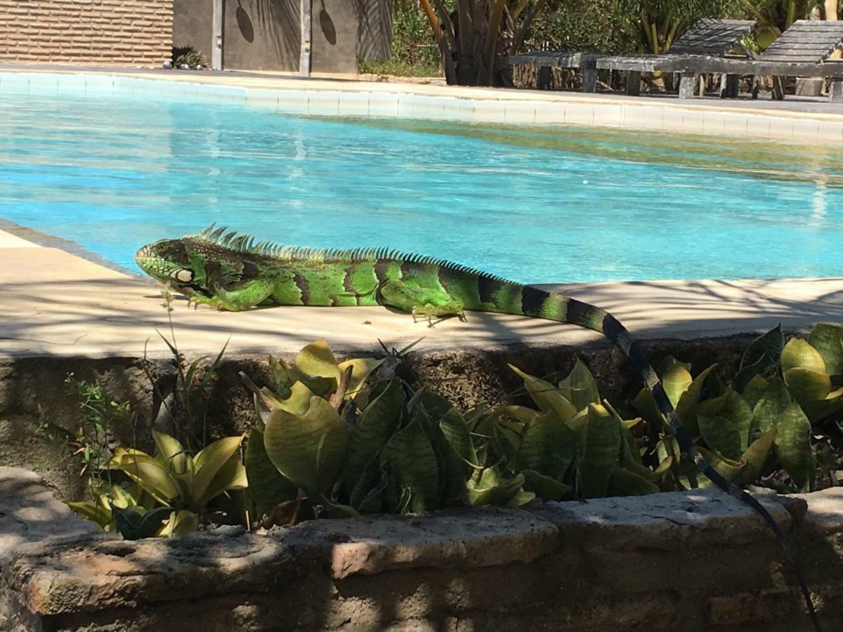 Casa Caicara Villas De Praia Cruz  Eksteriør bilde